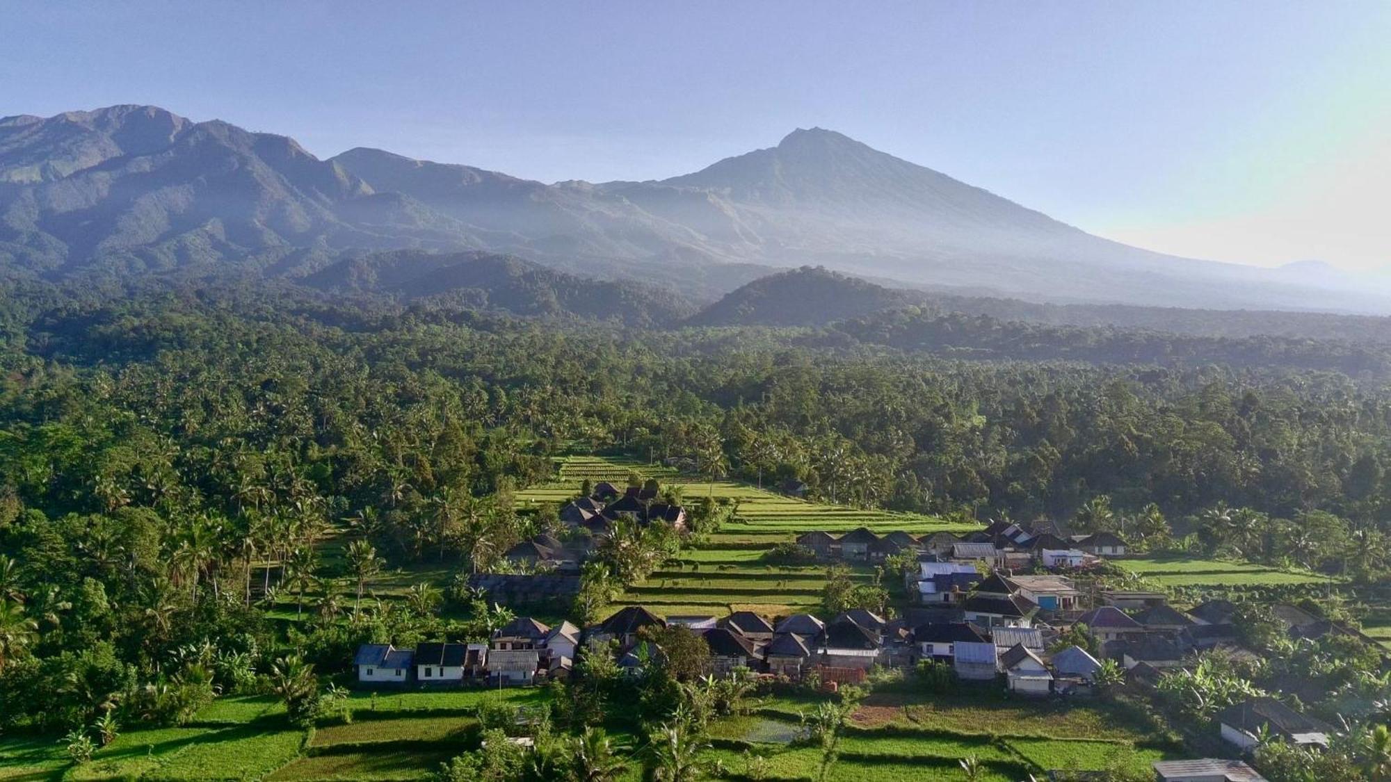 Raturinjani Homestay Selong Cameră foto