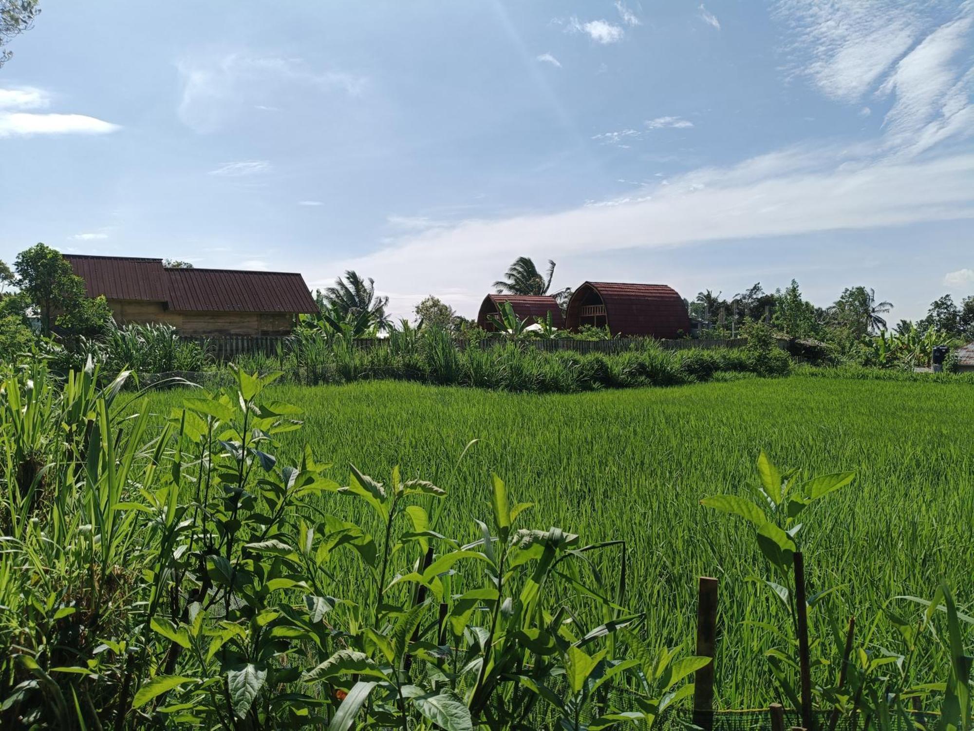 Raturinjani Homestay Selong Cameră foto